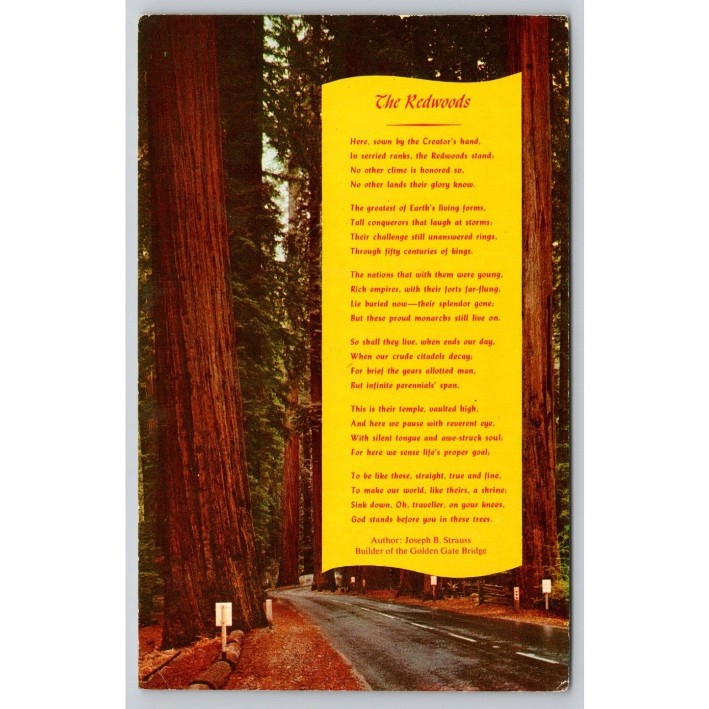 Postcard CA California Redwoods Poem