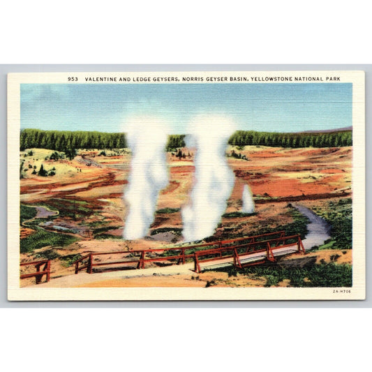 Postcard WY Yellowstone National Park Valentine And Ledge Geysers