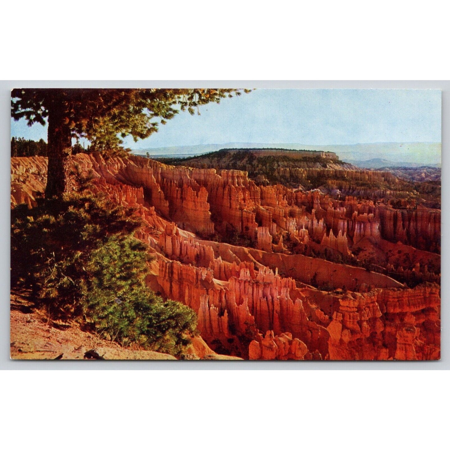 Postcard UT Utah Bryce Canyon National Park Boat Mesa And The Queens Garden A19