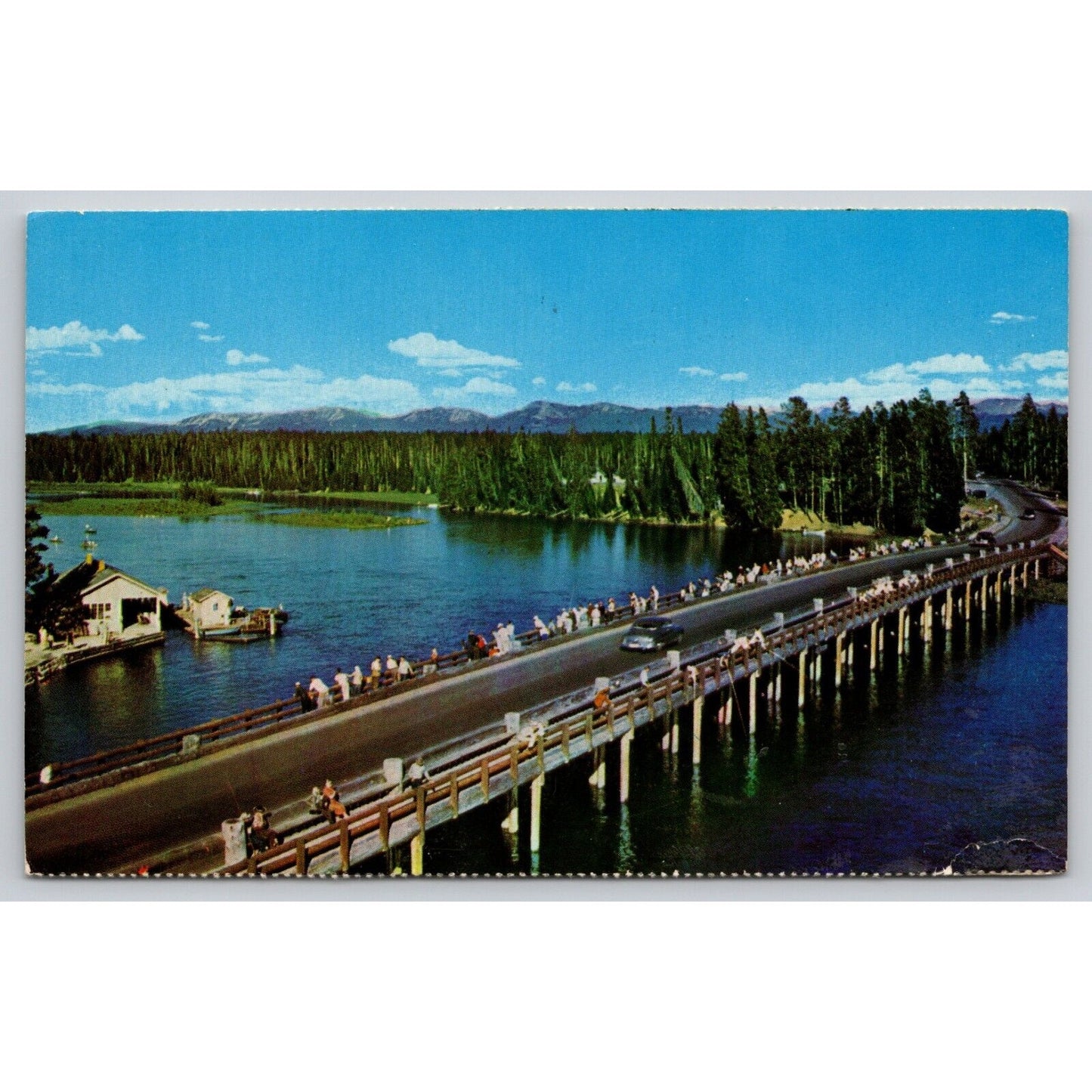 Postcard WY Yellowstone National Park Fishing Bridge Classic Car UNP A10