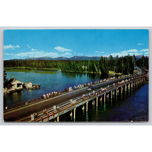 Postcard WY Yellowstone National Park Fishing Bridge Classic Car UNP A10