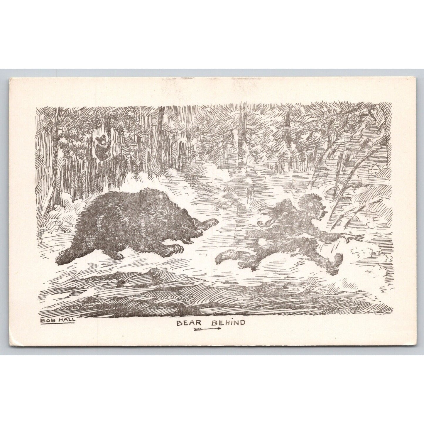 Postcard Bear Behind Artist Bob Hall Humor UNP A14