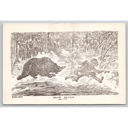 Postcard Bear Behind Artist Bob Hall Humor UNP A14