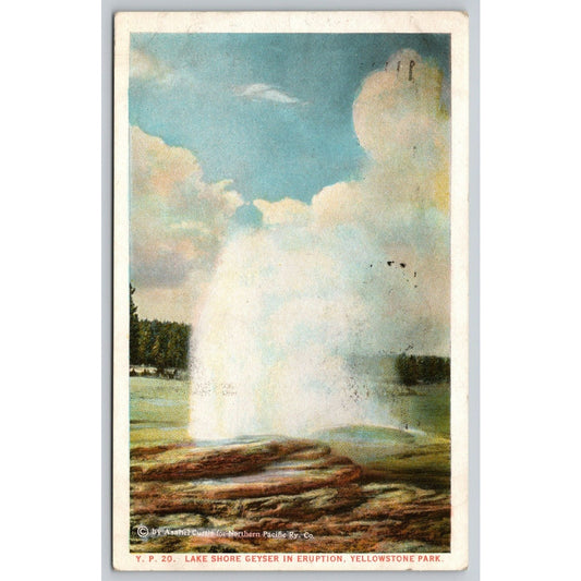 Postcard WY Yellowstone Park Lake Shore Geyser In Eruption WB A10