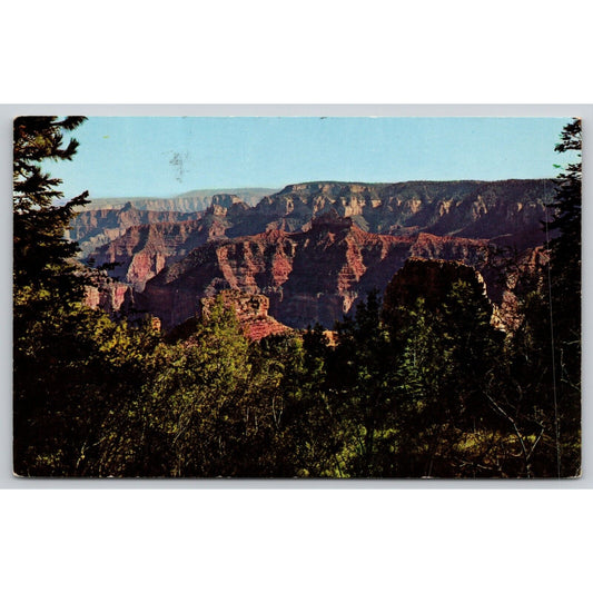 Postcard AZ Grand Canyon National Park Near Point Imperial B5