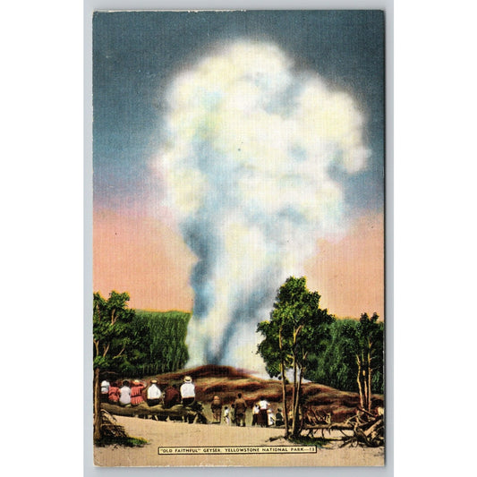 Postcard WY Yellowstone national Park Old Faithful Geyser