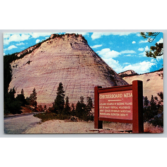 Postcard UT Utah Zion National Park Checkerboard Mesa Formation UNP A19