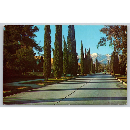 Postcard CA Banning San Gorgonio Ave