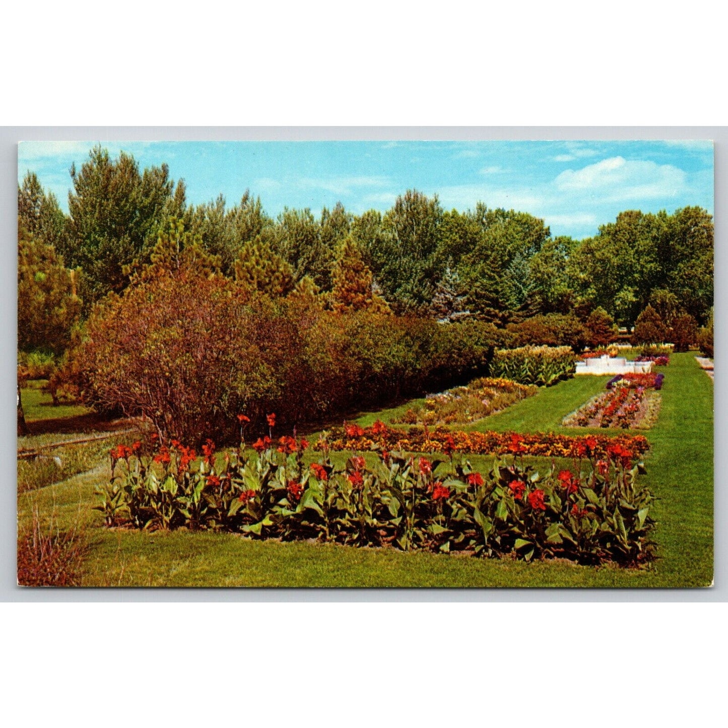 Postcard WY Cheyenne Lions Park Flower Gardens UNP B7