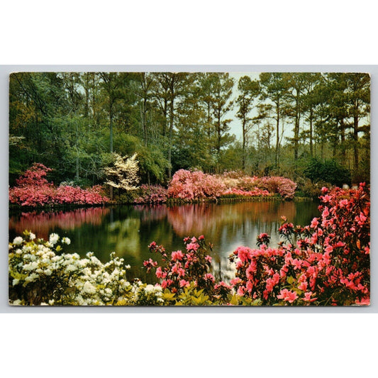 Postcard AL Mobile Bellingrath Gardens Mirror Lake