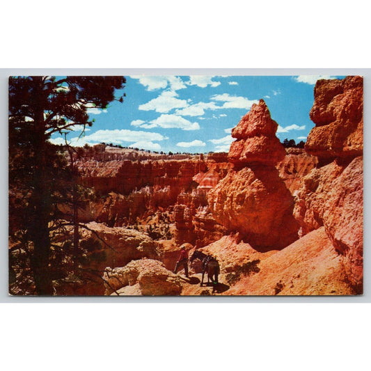 Postcard UT Utah Bryce Canyon National Park Saddle Horse Trail UNP A19