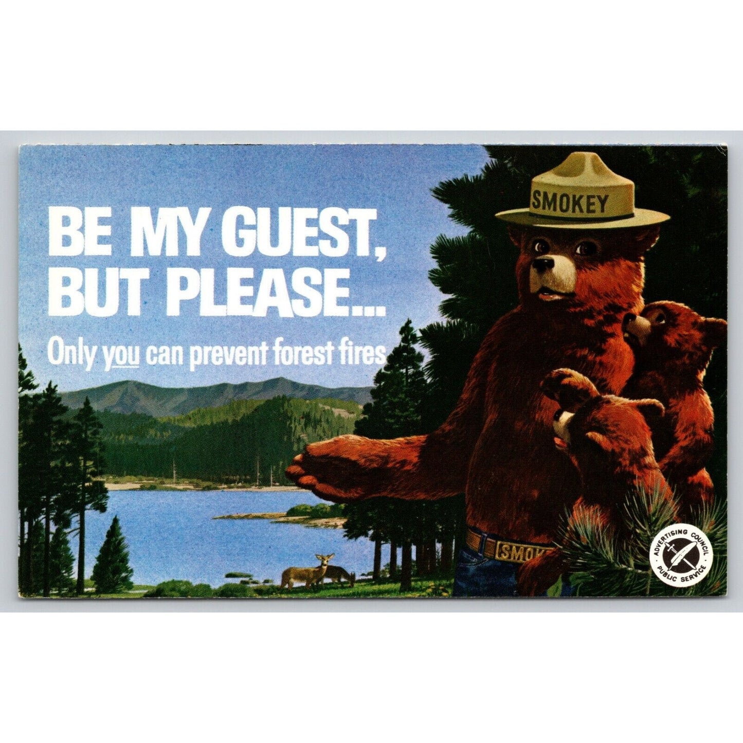 Postcard Be My Guest But Please Only You Can Prevent Forest Fires Smoky The Bear