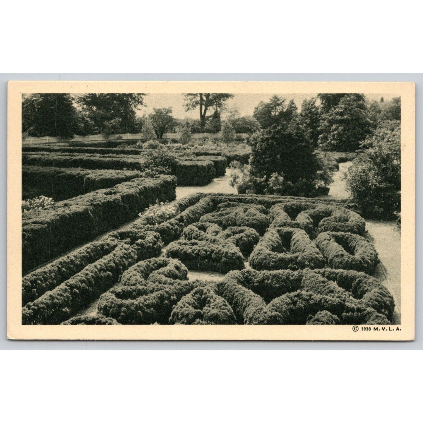 Postcard VA Mount Vernon The Flower Garden 1938 UNP A14