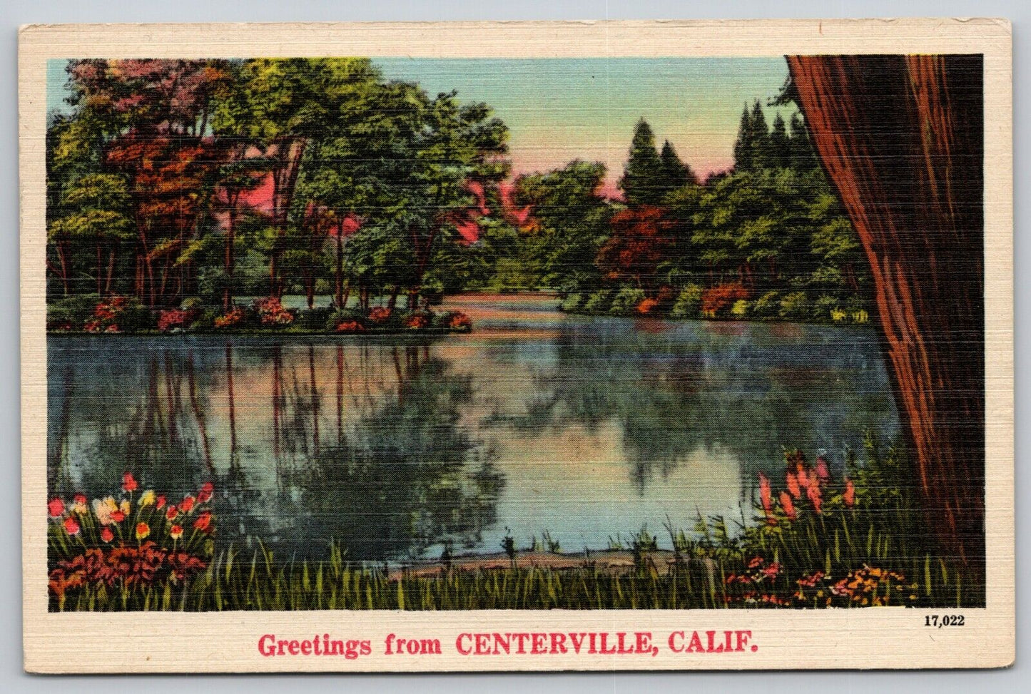 Postcard CA Centerville Greetings From Centerville California