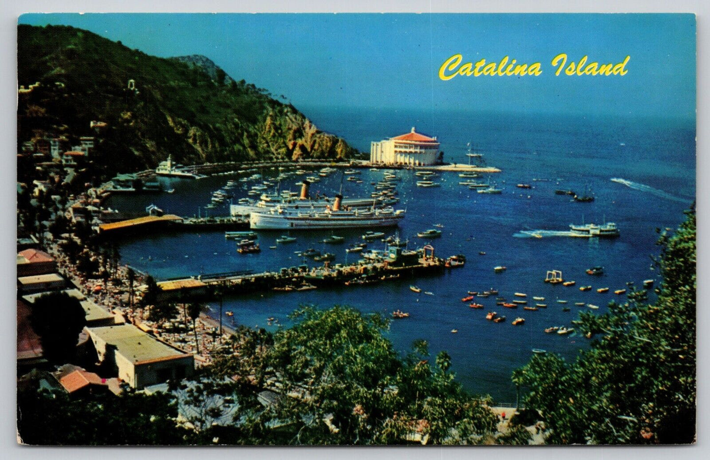 Postcard CA Catalina Crescent Bay