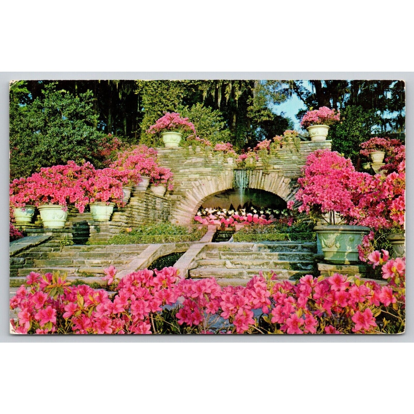 Postcard AL Mobile The Grotto Bellingrath Gardens