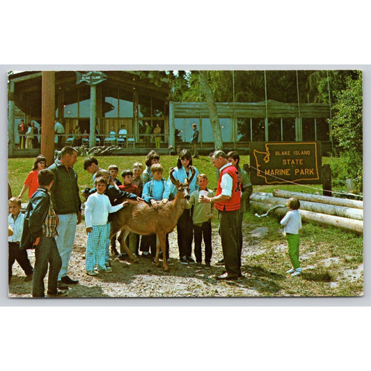 Postcard WA Seattle Blake Island State Marine Park Petting A Deer UNP B37