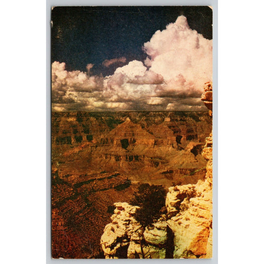 Postcard Arizona Grand Canyon Wesco Color Card UNP C10