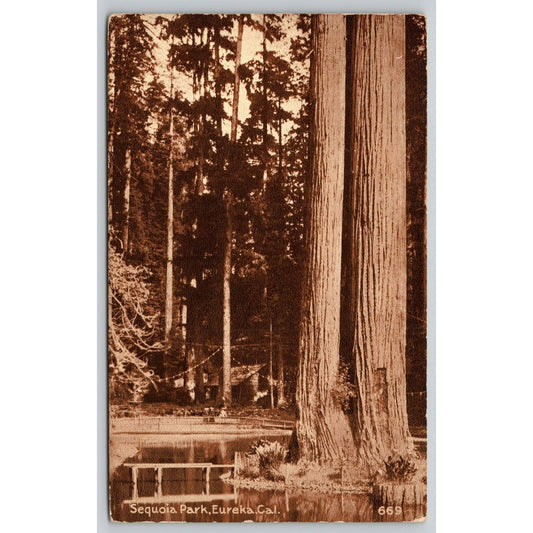 Postcard CA Eureka Sequoia Park On The Road Of A Thousand Wonders