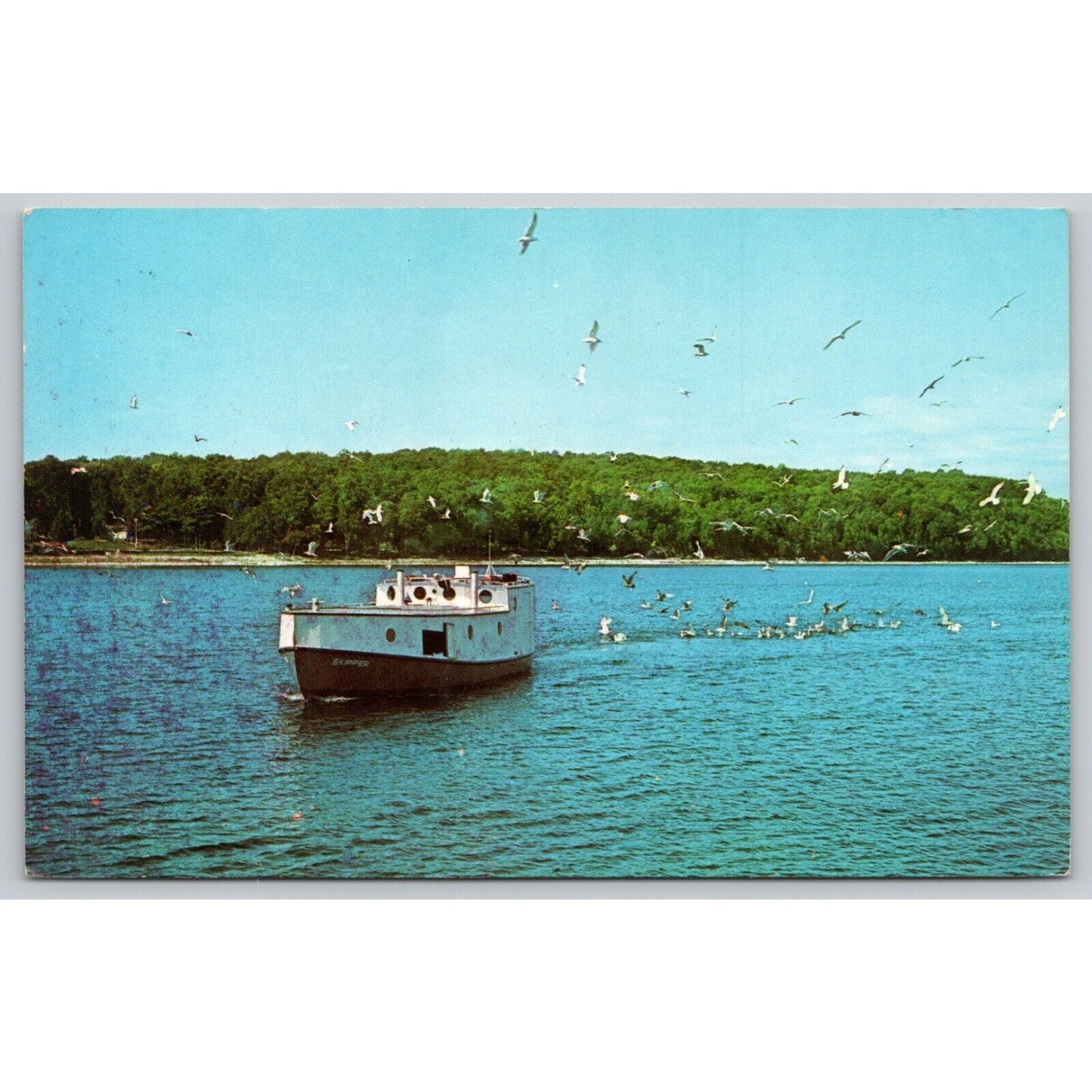 Postcard WI Door County Fishing Boat Flock Of Seagulls