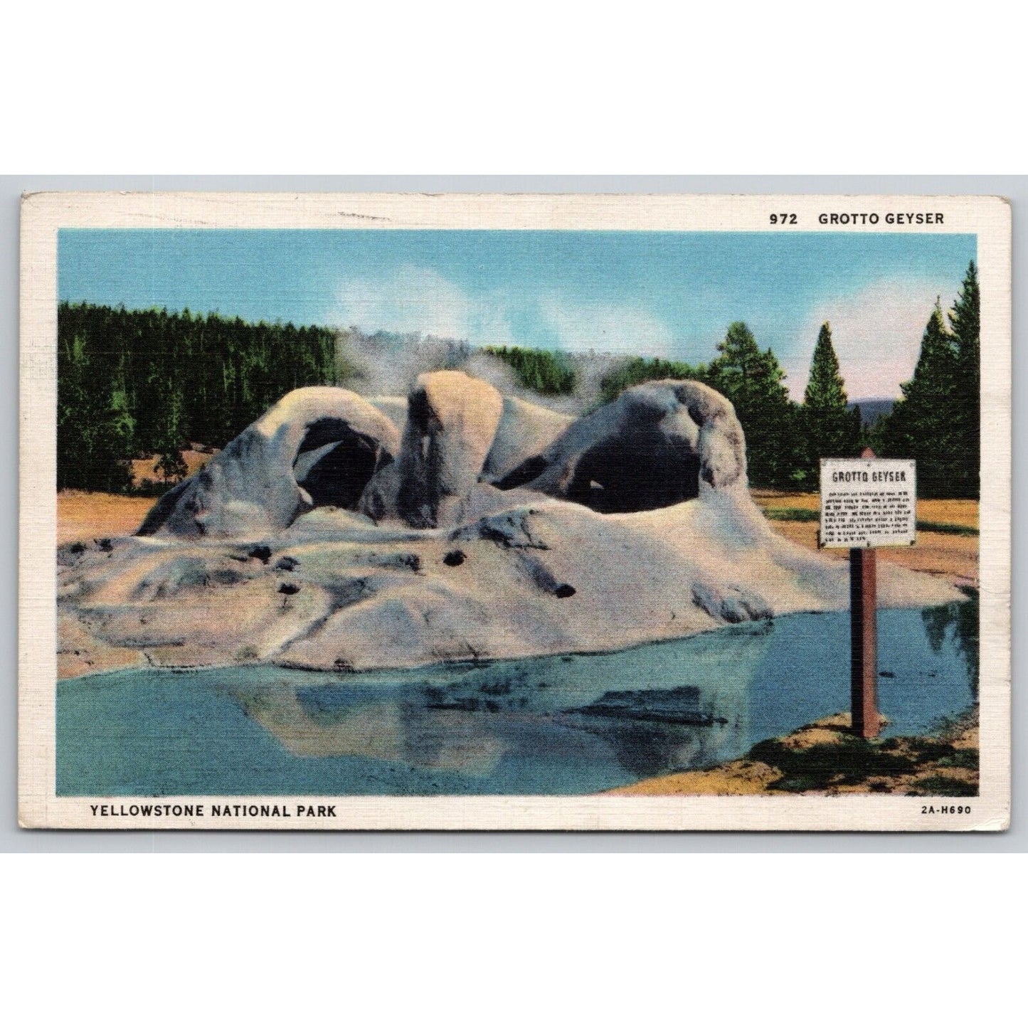 Postcard WY Yellowstone National Park Grotto Geyser