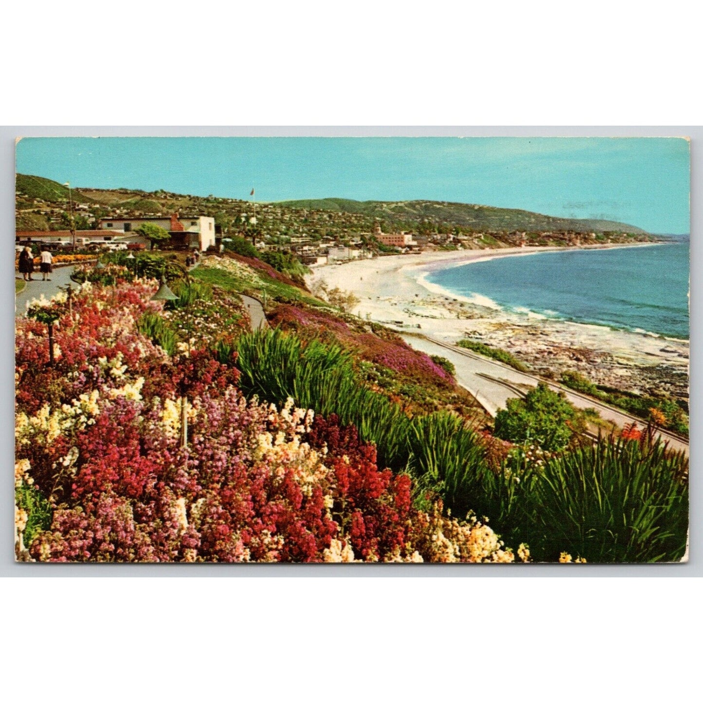 Postcard CA Beautiful Shoreline In Southern California C3