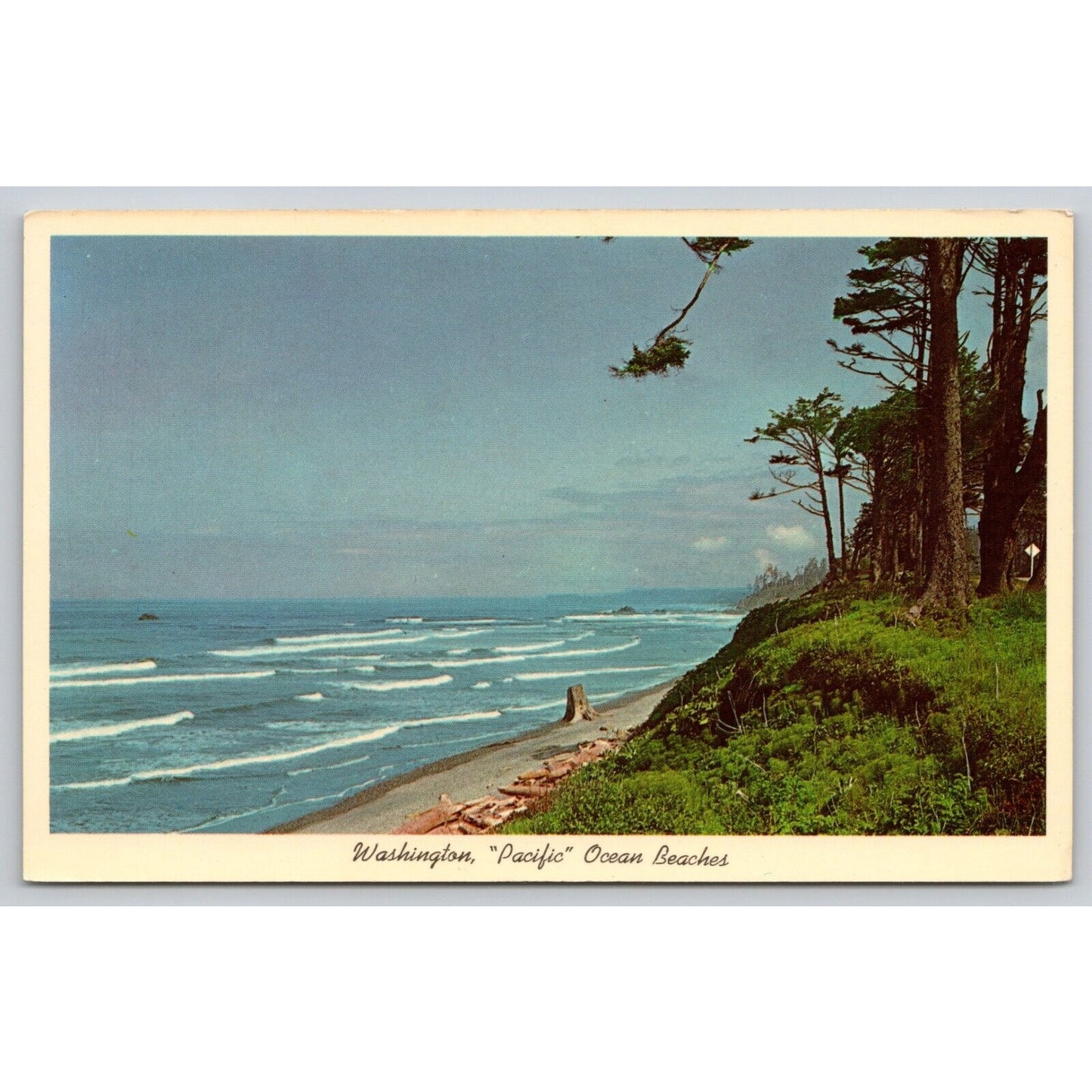 Postcard WA State Of Washington Pacific Ocean Beach UNP A34