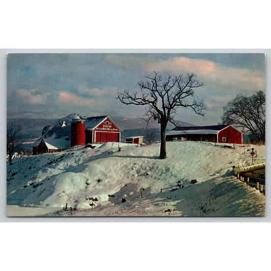 Postcard Winter On The Farm Dairy Farm Chrome UNP A6