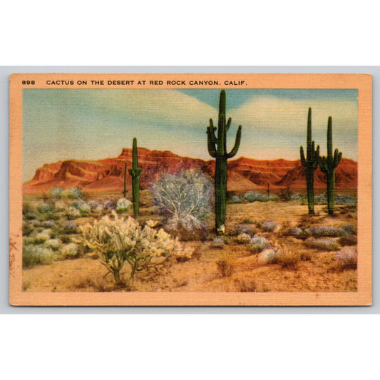 Postcard CA Cactus On The Desert At Red Rock Canyon Linen A5