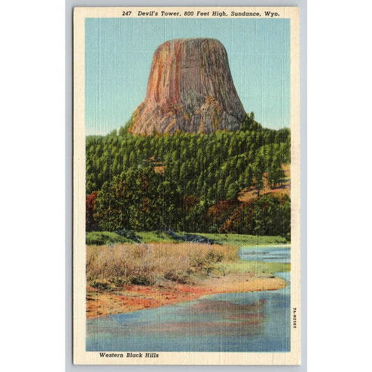 Postcard WY Sundance Devil's Tower Western Black Hills