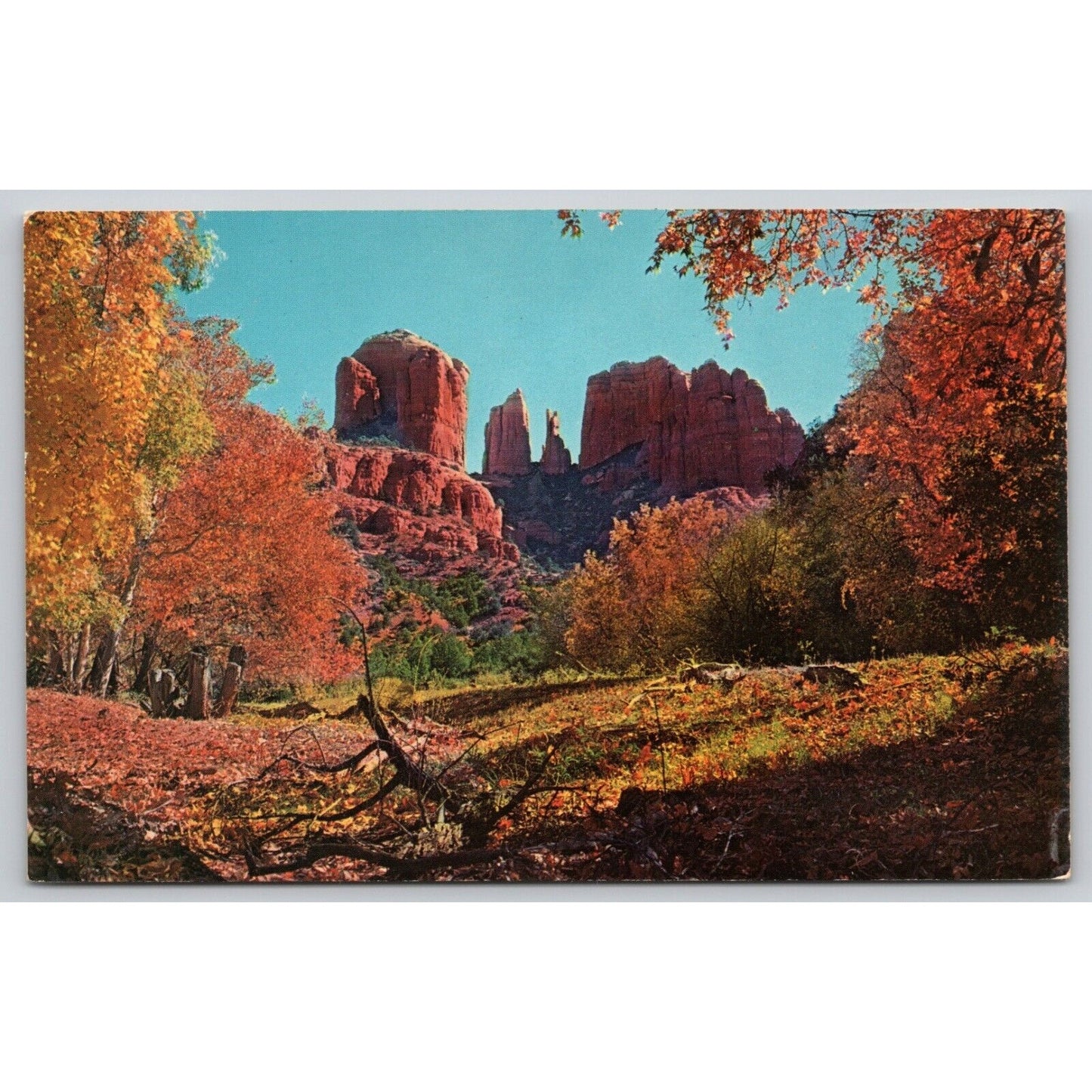 Postcard AZ Oak Creek Canyon Courthouse Rock UNP A16