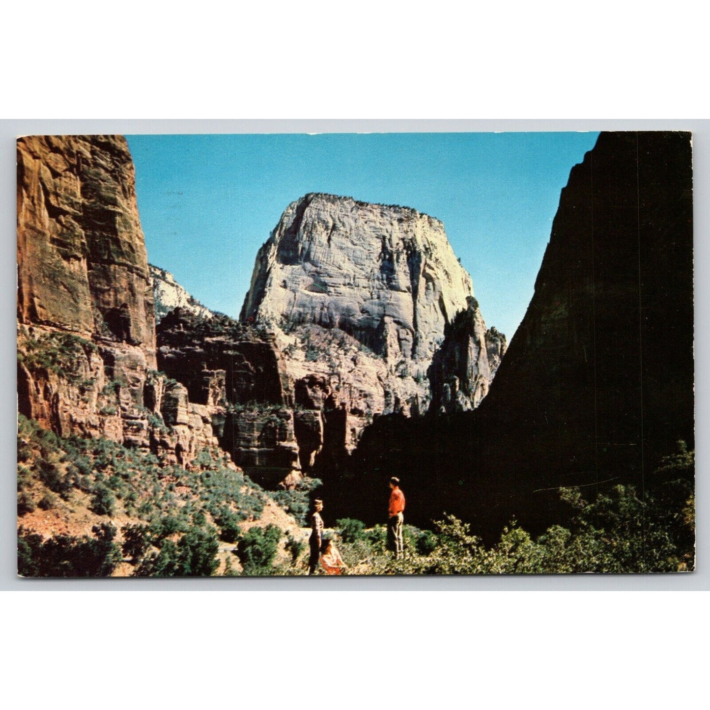 Postcard Utah Zion National Park The Great White Throne