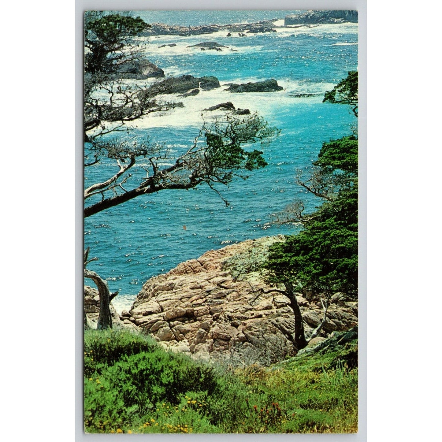 Postcard CA Carmel Bay Point Lobos State Park Surf Rolls In On Rugged Coast Line