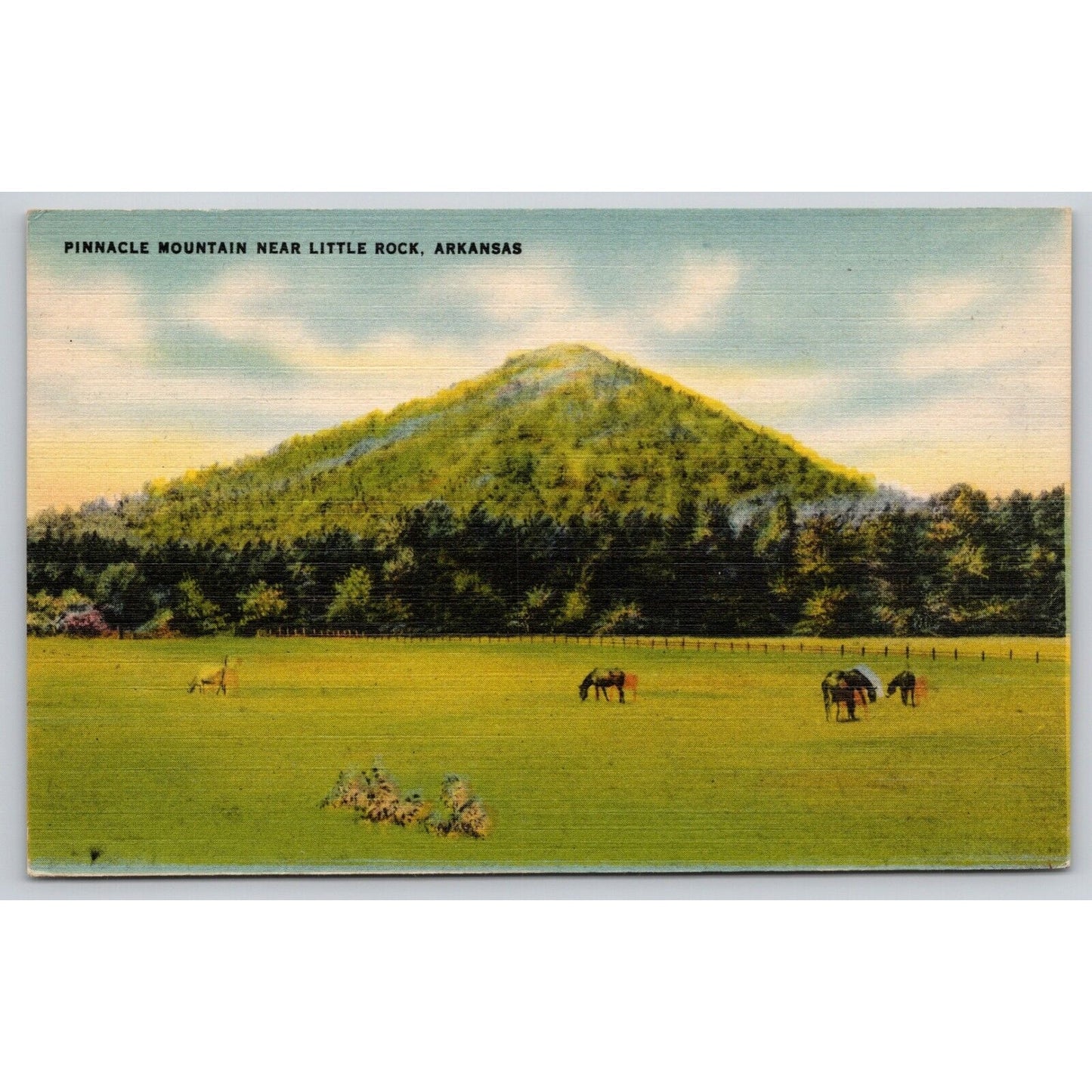 Postcard AR Arkansas Little Rock Pinnacle Mountain Linen A9