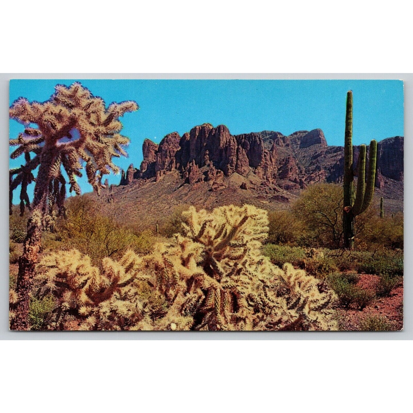 Postcard AZ Superstition Mountain Saguaro Cactus UNP C7