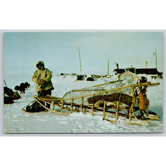 Postcard AK Eskimo Sled And Dogs Travel In Alaska