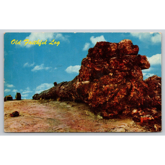 Postcard AZ Petrified Forest National Monument Old Faithful