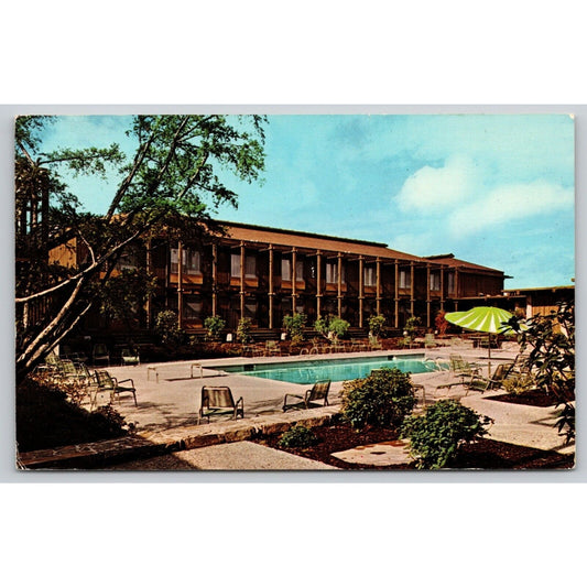 Postcard WA Seattle The Doubletree Inn Motor Hotel Pool Scene A34