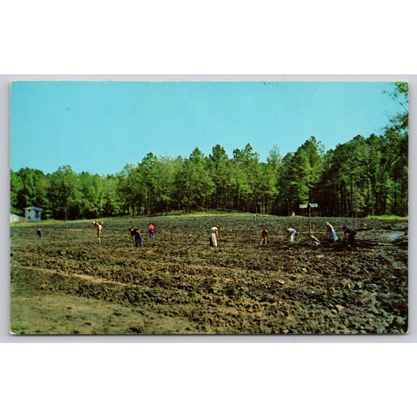 Postcard AR Murfreesboro The Crater Of Diamonds UNP A27