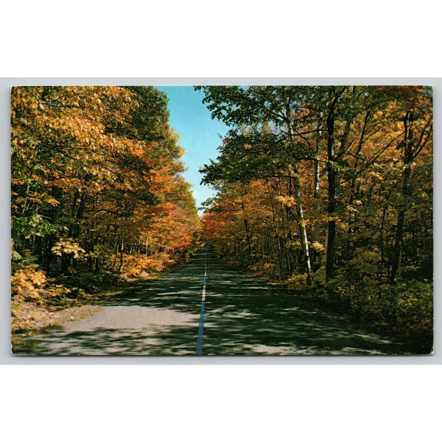 Postcard Vacationland Scene Fall Colors Along Country Road UNP B7