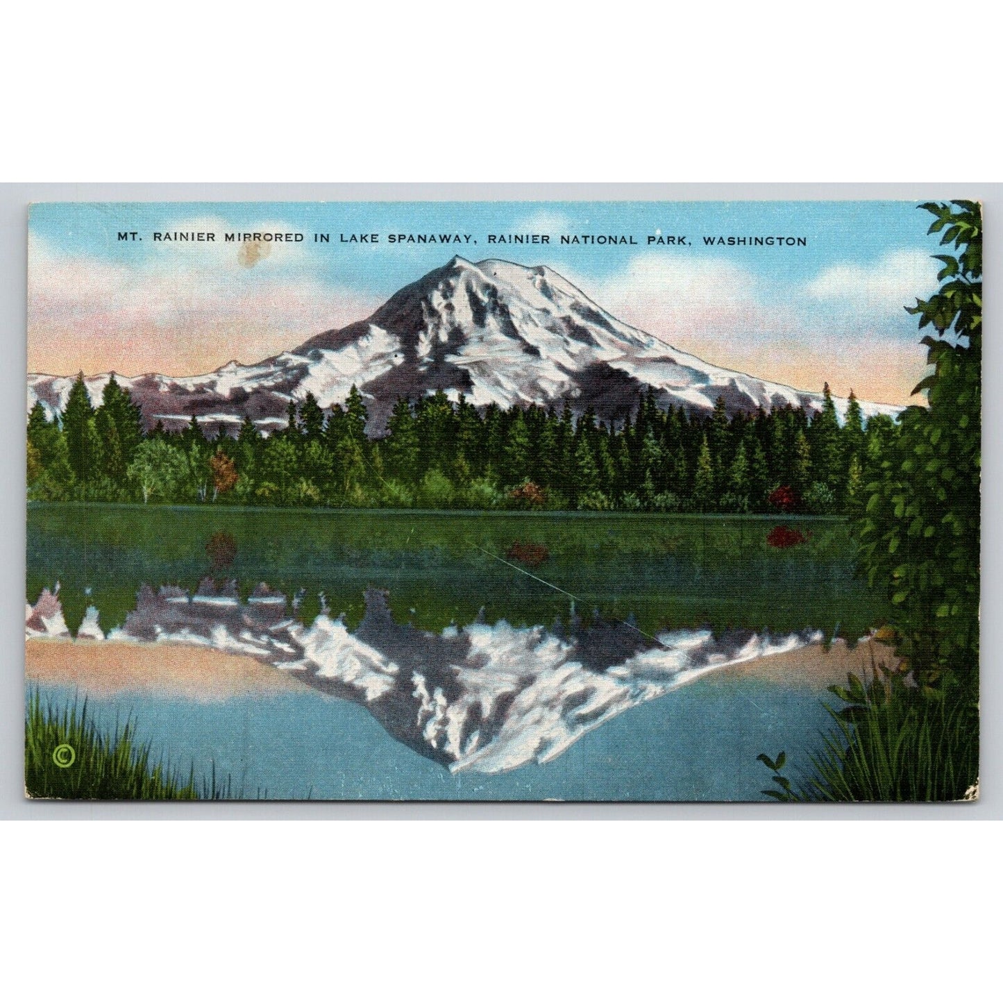 Postcard WA Mount Rainier Mirrored In Lake Spanaway