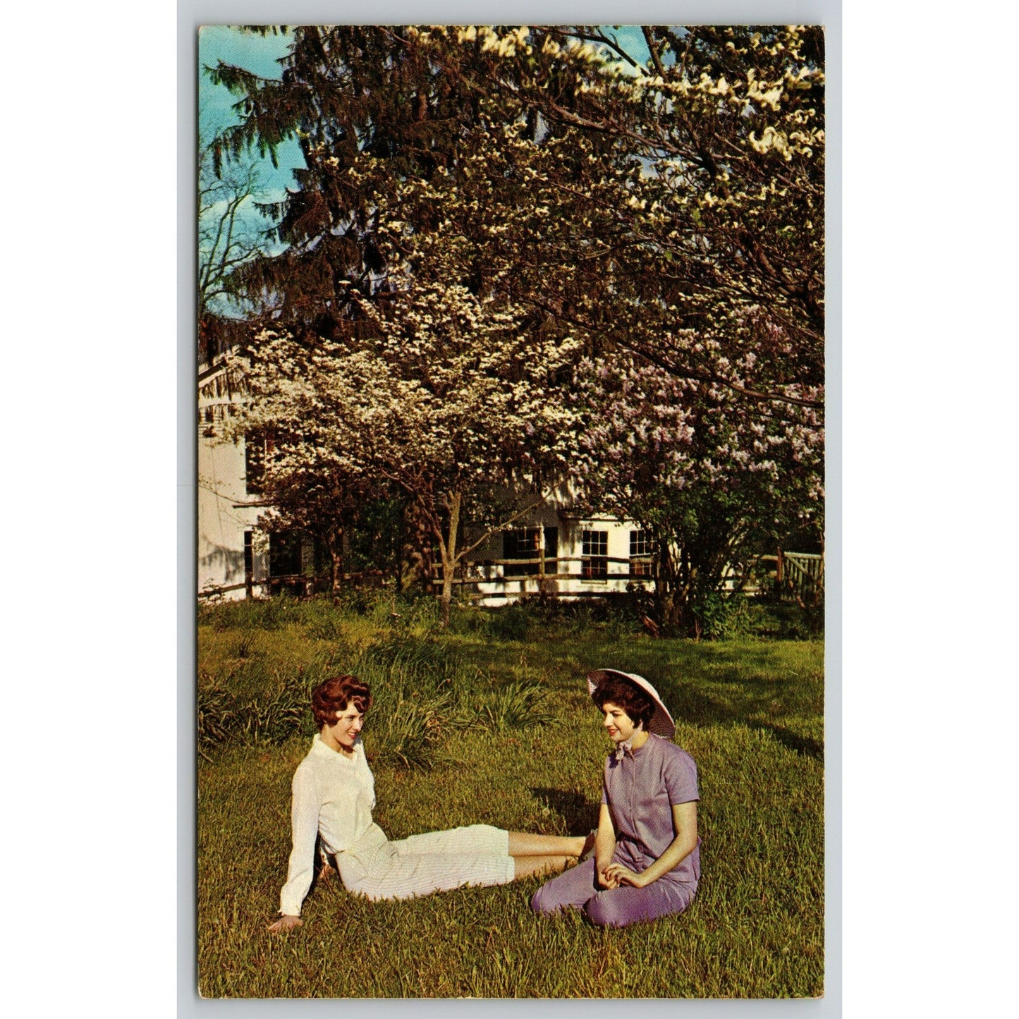 "Lilac Time" Postcard Malabar Farm Mansfield Ohio Women Under Blossoming Trees