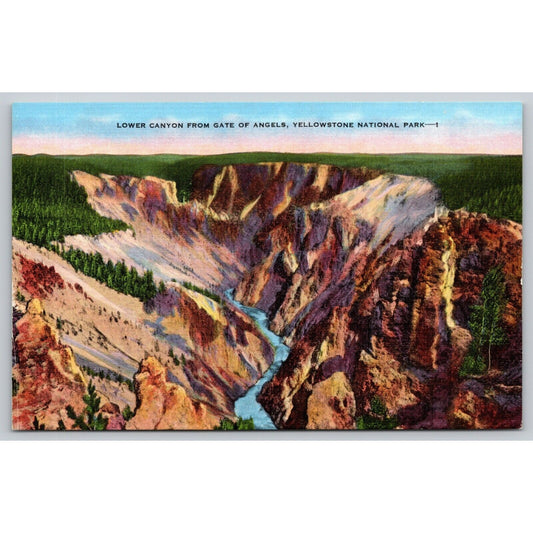 Postcard WY Yellowstone National Park Lower Canyon From Gate Of Angels