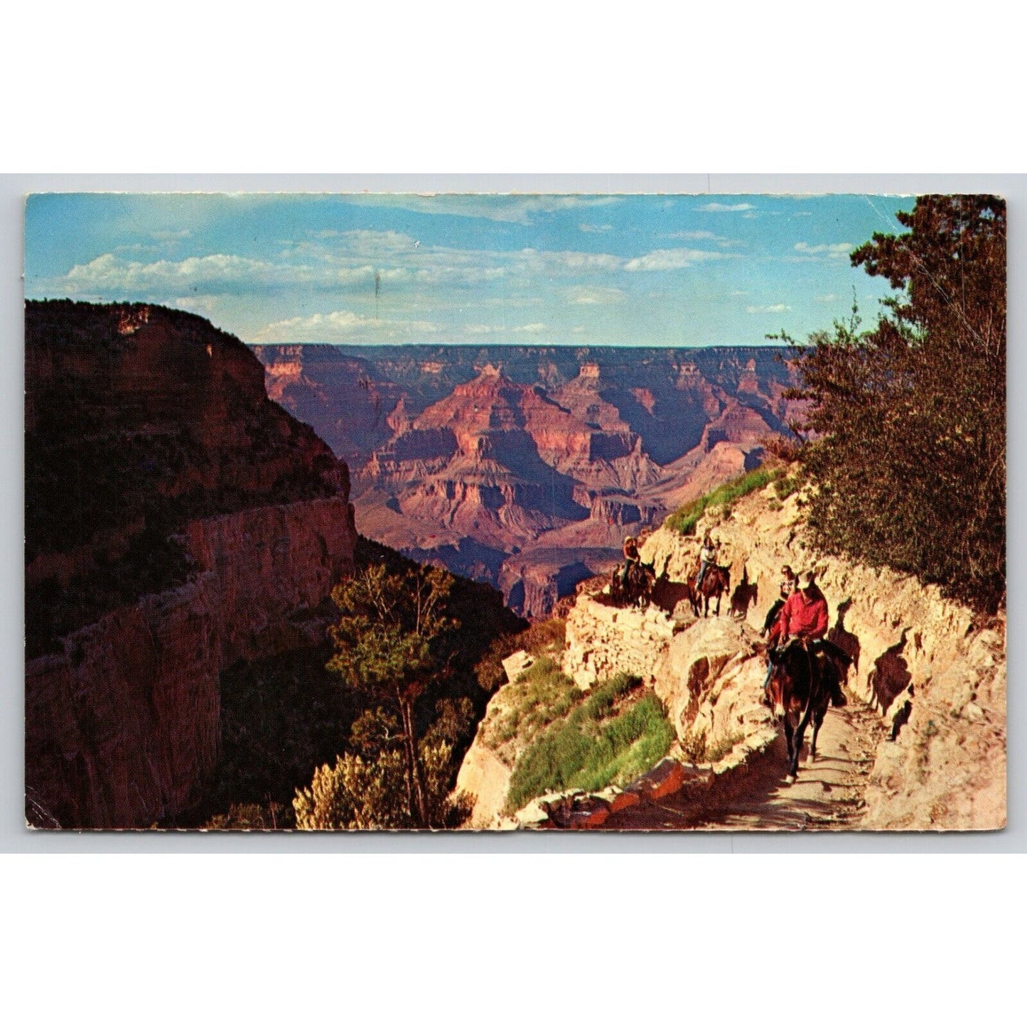 Postcard AZ Grand Canyon National Park Mule Train Returns A27