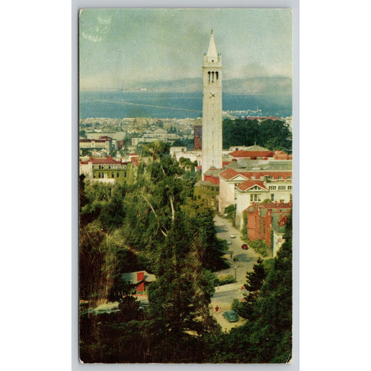 Postcard CA Berkley Campanile University Of California Campus Sather Tower