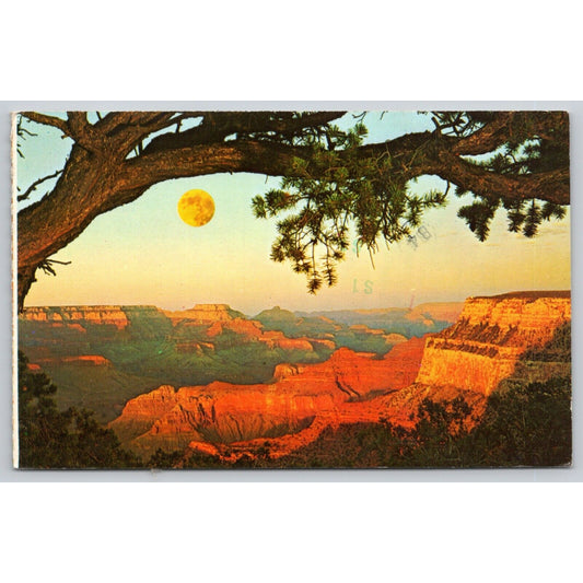 Postcard Arizona Grand Canyon National Park Evening Sun C7