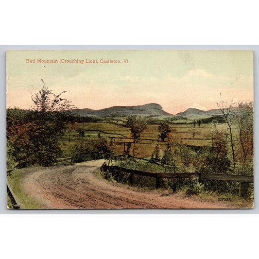 Postcard VT Castleton Bird Mountain Crouching Lion