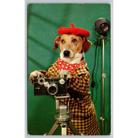 Postcard Anthropomorphic Dog Taking A Photo With Camera UNP B36