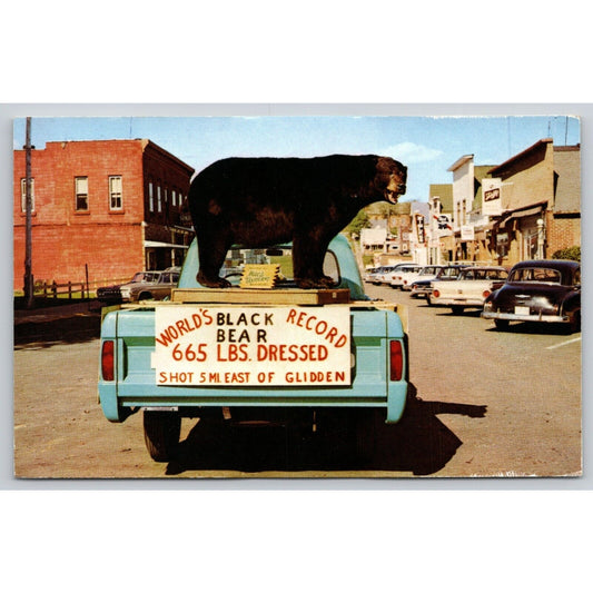 Postcard WI Glidden World's Record Black Bear Classic Cars