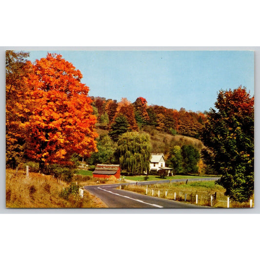 Postcard A Pleasing Drive In The Country UNP C9